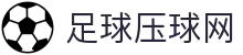 买球站 - 买球站官方网站 - 2025世俱杯足球压球网